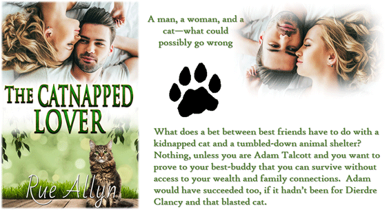 The Catnapped Lover ~ A Short Contemporary Romance by Rue Allyn BookReview -Njkinny's Blog