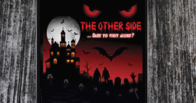 The Other Side: Dare to Visit Alone? by Faraaz Kazi and Vivek Banerjee Review on Njkinny's Blog