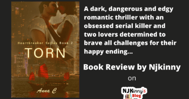 Torn by Anna C Book Review, Book Summary, Book Quotes, Age Rating, Genre, Heartbreaker Series on Njkinny's Blog