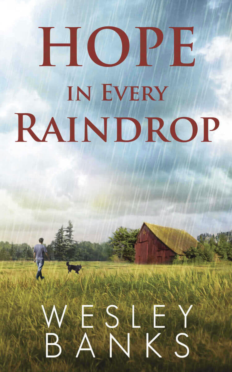 Hope In Every Raindrop | Wesley Banks | Book Review | Book Quotes | Kyle Walker Book 2